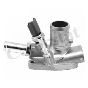 Termostato completo con bulbo Fire /Evo